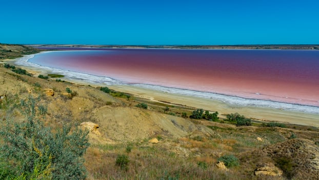 Natural landscape of the south of Ukraine, View of the drying Kuyalnitsky estuary with rose water, in which Artemia salina and Dunaliella algae live photo