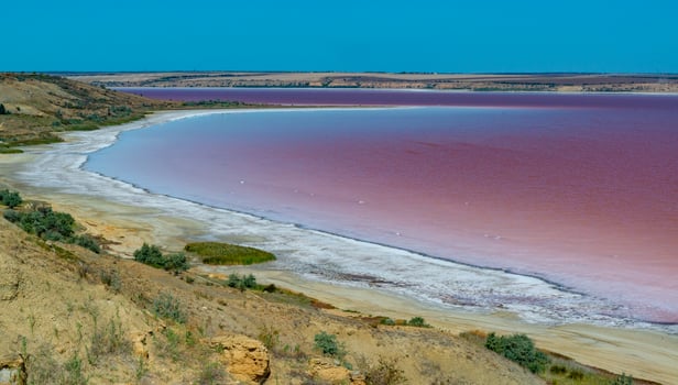 Natural landscape of the south of Ukraine, View of the drying Kuyalnitsky estuary with rose water, in which Artemia salina and Dunaliella algae live photo