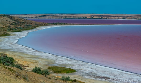 Natural landscape of the south of Ukraine, View of the drying Kuyalnitsky estuary with rose water, in which Artemia salina and Dunaliella algae live photo