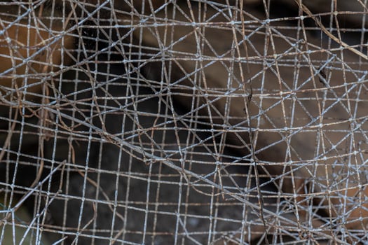 Rusty and worn Steel Grid fence background texture photo