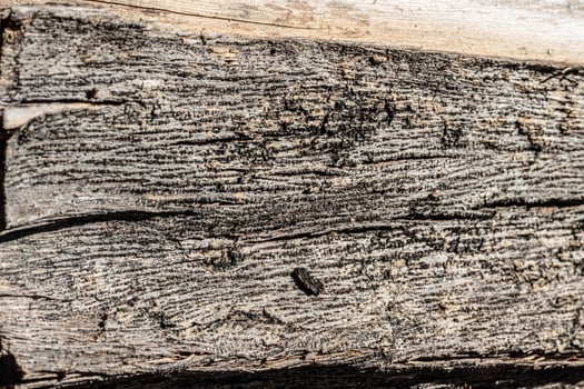 Background texture of old weathered bark photo