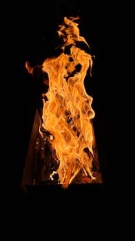 Burning flame of wood fire, black background photo