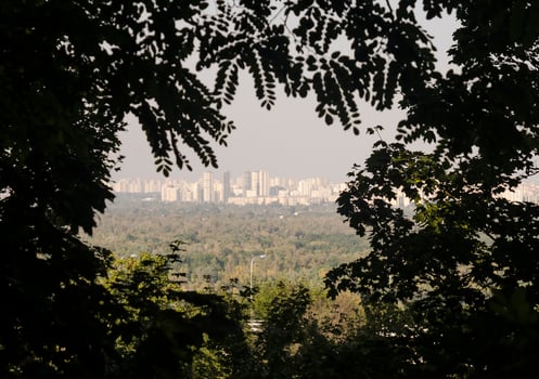 Megalopolis civilization vew in leaves photo