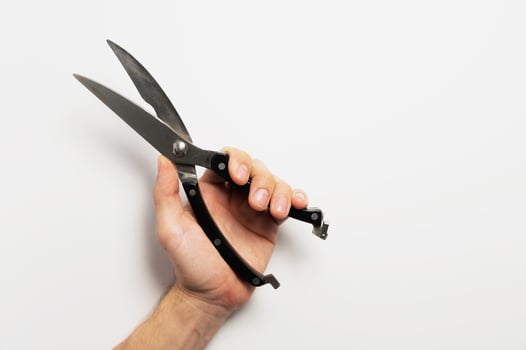 Male hand holding garden pruning shears on white background. Scissors for pruning flowers both garden and home photo