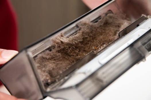 Woman taking out dust container from robot vacuum cleaner. Modern electronics for home, cleaning with technology, close-up of accumulated dust in house photo