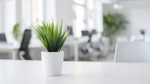 Modern Office Interior with Potted Plant on Desk, Bright Workspace, Minimalist Design, White and Green Colors, Sleek Furniture, Natural Light, Professional Environment photo