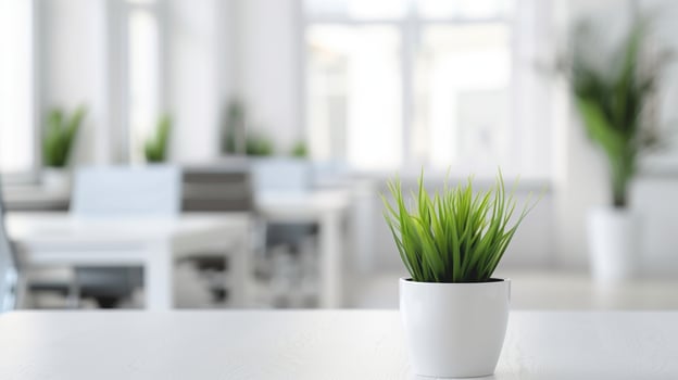 Modern Workspace with Green Plant on Desk in Contemporary Office Setting with Bright Natural Light and Minimalist Decoration photo