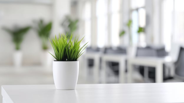 Minimalist Modern Office Interior with Green Plant in White Pot on Desk, Natural Light Design Elements, Contemporary Workspace Ideas for Bright and Fresh Atmosphere photo