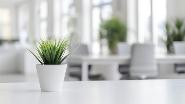 Modern Office Workspace With Potted Plant On Desk Bright Natural Light Minimalist Design, Open Plan Layout Greenery, Daylight Professional Environment, Focus On Plant Interior Decor, Peaceful Ambiance photo