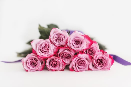Bouquet of Pink Roses with water drops on a white background. photo