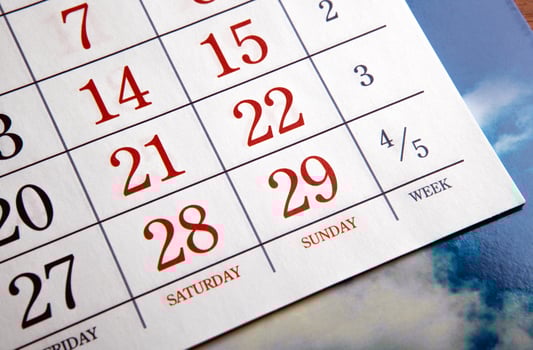 calendar days with numbers close up photo