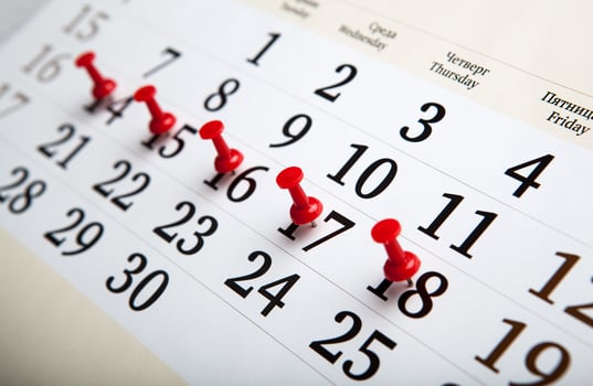 large wall calendar with needles photo