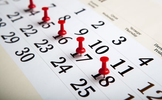 large wall calendar with needles photo