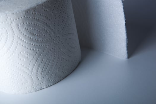 soft toilet paper roll photo