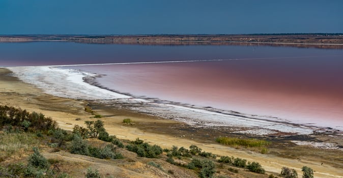 Natural landscape of the south of Ukraine, View of the drying Kuyalnitsky estuary with rose water, in which Artemia salina and Dunaliella algae live photo
