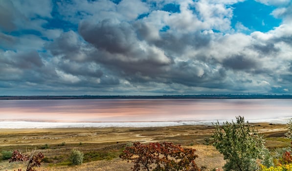 Natural landscape of the south of Ukraine, View of the drying Kuyalnitsky estuary with rose water, in which Artemia salina and Dunaliella algae live photo