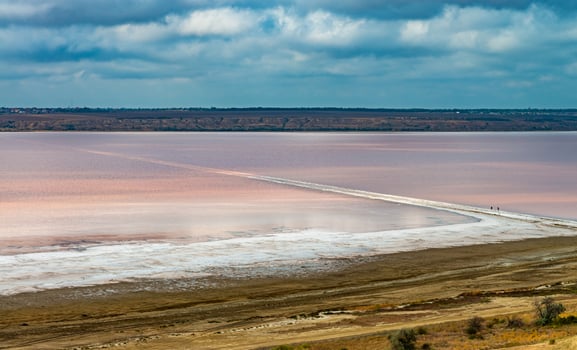 Natural landscape of the south of Ukraine, View of the drying Kuyalnitsky estuary with rose water, in which Artemia salina and Dunaliella algae live photo