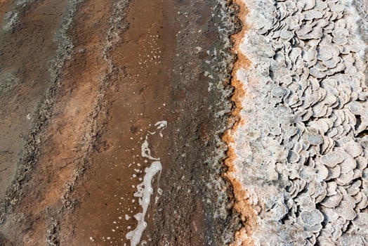 Kuyalnik estuary, Black Sea. Table salt in the form of round pancakes at the bottom and the bank of the estuary. Table salt crystals photo
