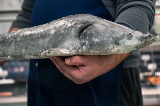 Male fishmonger or fish market worker photo