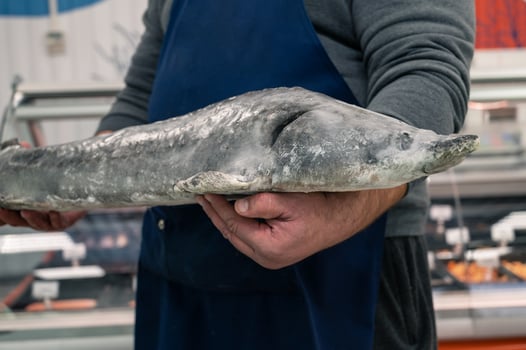Male fishmonger or fish market worker photo