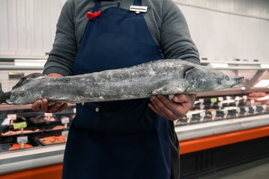 Male fishmonger or fish market worker photo