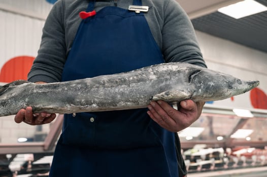 Male fishmonger or fish market worker photo