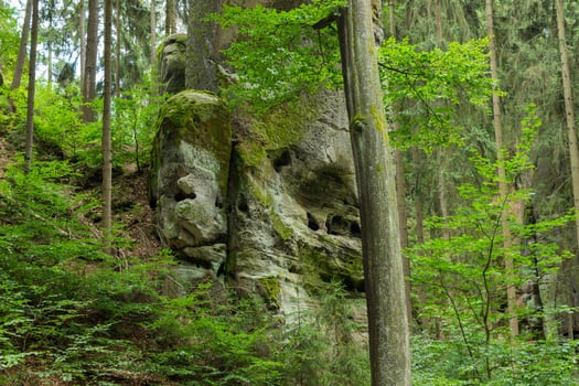 Beautiful green nature landscape of rocks of Europe Forest at summer photo