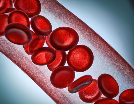 Crimson Caravan A Journey Through the Arteries photo