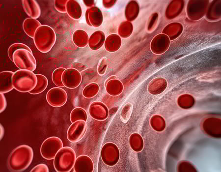 Crimson Caravan A Journey Through the Arteries photo
