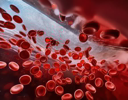 Crimson Caravan A Journey Through the Arteries photo