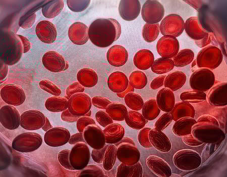Crimson Caravan A Journey Through the Arteries photo