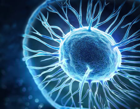 Human Cell Genetic Structure Close Up photo
