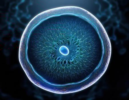 Microscopic Cell Nucleus Glowing Genetic Structure photo