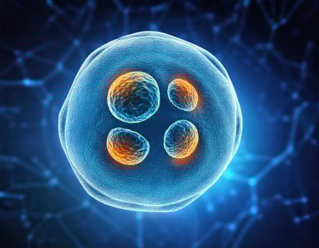 Microscopic Cell Nucleus Glowing Genetic Structure photo