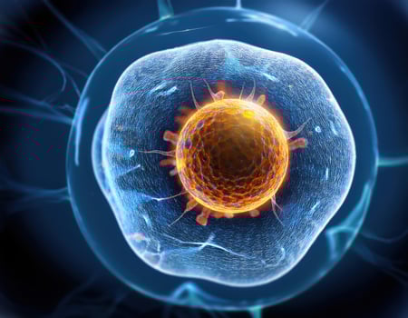 Microscopic Cell Nucleus Glowing Genetic Structure photo