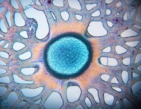 Microscopic Cell Nucleus Glowing Genetic Structure photo