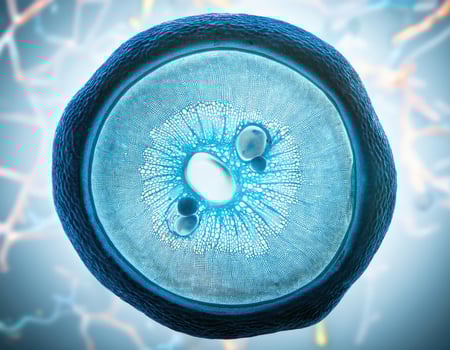 Microscopic Cell Nucleus Glowing Genetic Structure photo