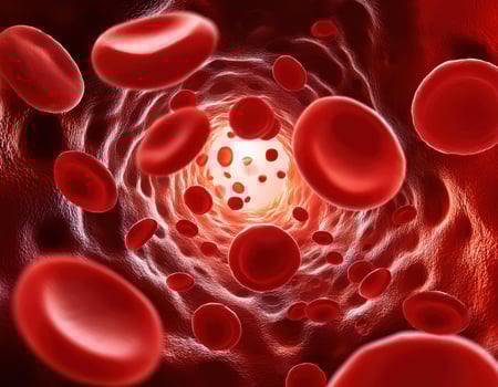 Crimson Caravan A Journey Through the Arteries photo