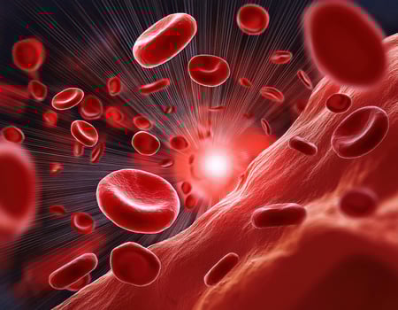 Crimson Caravan A Journey Through the Arteries photo