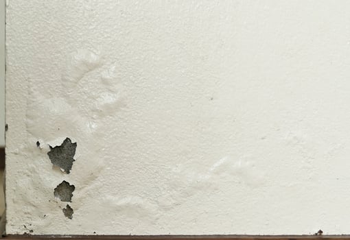 Paint peeling and swelling from moisture photo