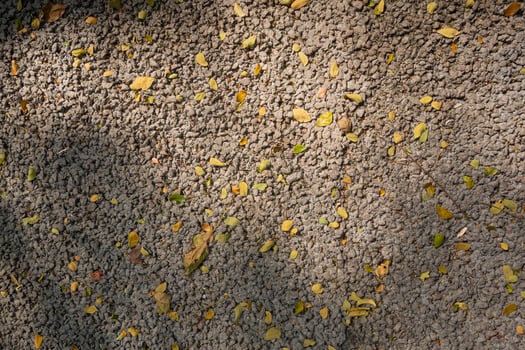 Light grey color small stones on ground surface with yellow fallen leaves texture top view photo