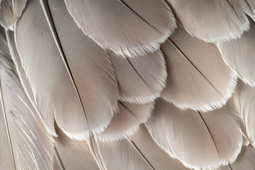 A delicate texture featuring soft, intricate feather details photo