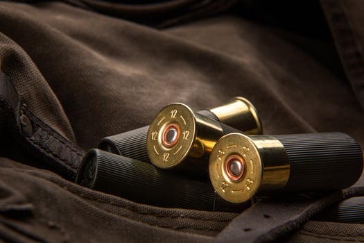 Shotgun shells close-up. Ammunition for smoothbore weapons on a khaki canvas backpack. Dark back photo