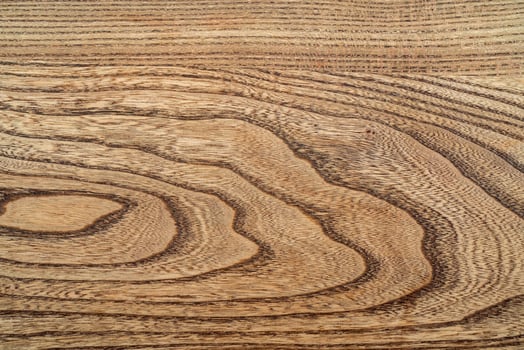 Beautiful pattern of a wooden board. Old wood texture. photo