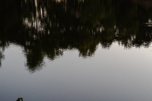 Reflection in the water with reflection of the sky and trees photo
