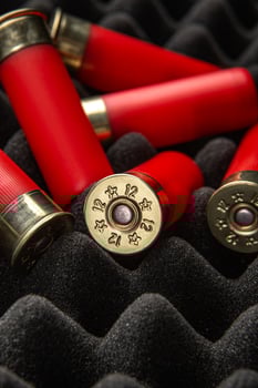 Shotgun shells on foam rubber. Ammunition for 12 gauge smoothbore weapons. Hunting ammunition. Dark back. photo