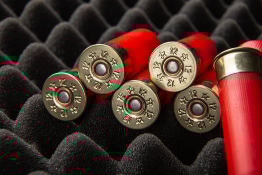Shotgun shells on foam rubber. Ammunition for 12 gauge smoothbore weapons. Hunting ammunition. Dark back. photo