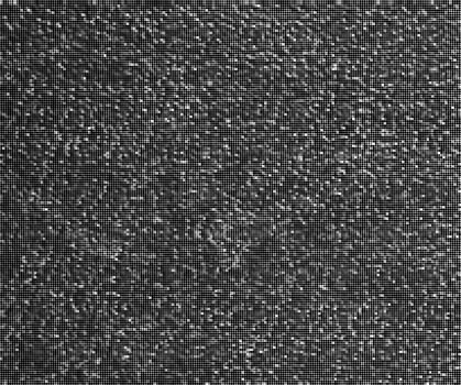 Natural Leather Structure Material Abstract Texture Background For Design Natural Color Skin Material Fashion Design Wallpaper. Black Wall Texture Background For Graphic Design And Web Design. photo