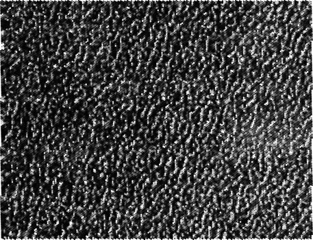 Natural Leather Structure Material Abstract Texture Background For Design Natural Color Skin Material Fashion Design Wallpaper. Black Wall Texture Background For Graphic Design And Web Design. photo