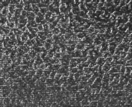 Natural Leather Structure Material Abstract Texture Background For Design Natural Color Skin Material Fashion Design Wallpaper. Black Wall Texture Background For Graphic Design And Web Design. photo